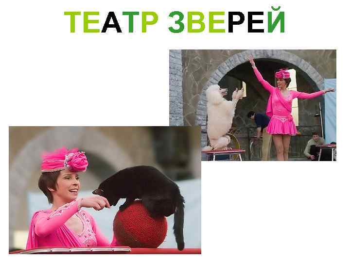 ТЕАТР ЗВЕРЕЙ 