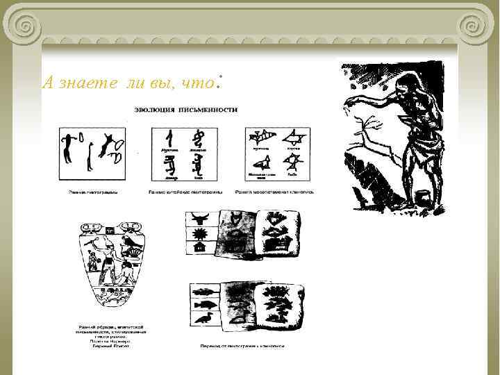 А знаете ли вы, что: 