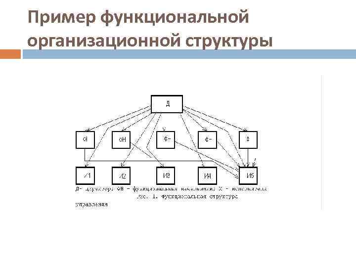 Пример функциональной организационной структуры 