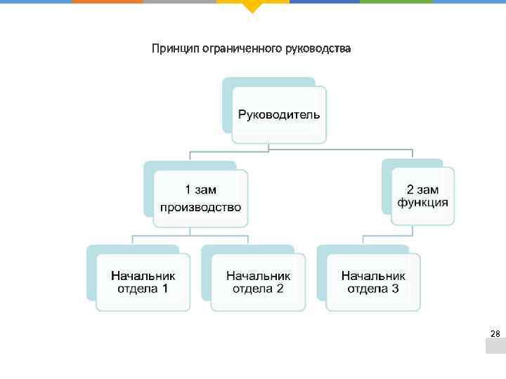 Принцип ограниченного руководства 28 