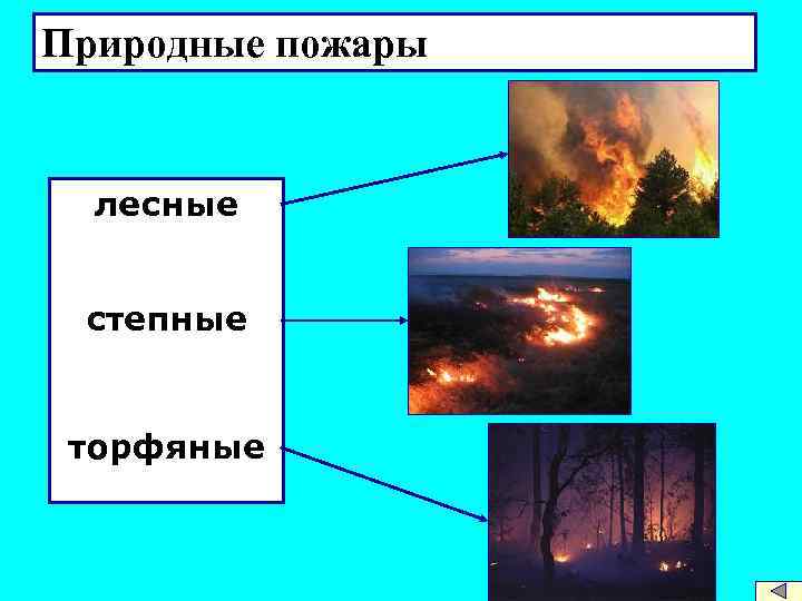 Лесные степные и торфяные пожары. Природные пожары торфяные Лесные и степные. Лесные пожары торфяные пожары степные пожары. Природные пожары торфяные. Лесные степные и торфяные пожары БЖД.