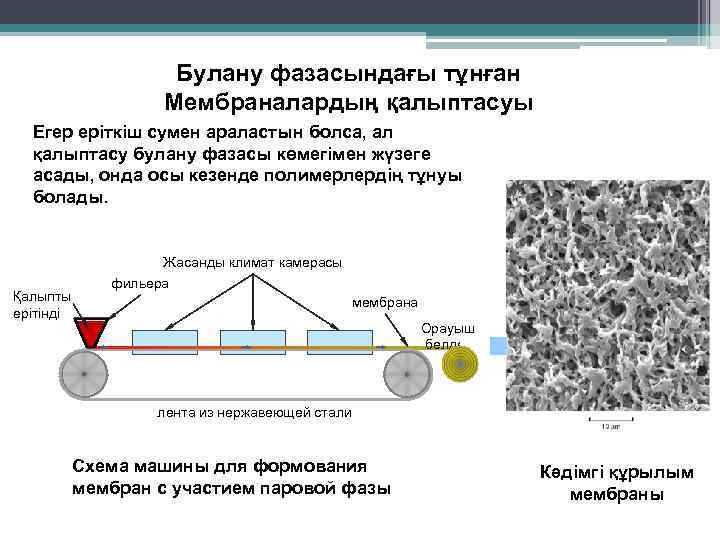 Булану фазасындағы тұнған Мембраналардың қалыптасуы Егер еріткіш сумен араластын болса, ал қалыптасу булану фазасы