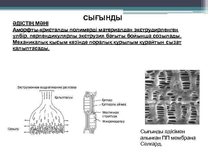 СЫҒЫНДЫ ӘДІСТІҢ МӘНІ Аморфты-кристалды полимерді материалдан экструдирленген үлбір, перпендикулярлы экструзия бағыты бойынша созылады. Механикалық