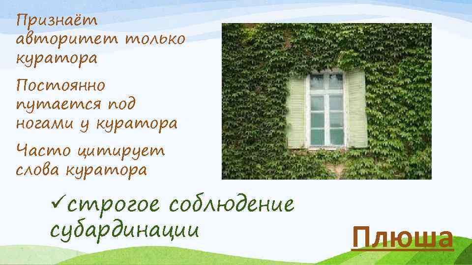 Признаёт авторитет только куратора Постоянно путается под ногами у куратора Часто цитирует слова куратора