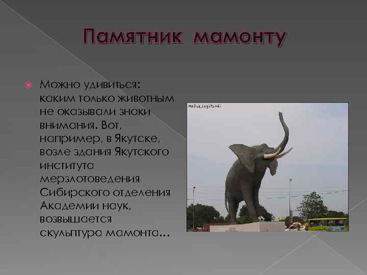 Памятник мамонту Можно удивиться: каким только животным не оказывали знаки внимания. Вот, например, в