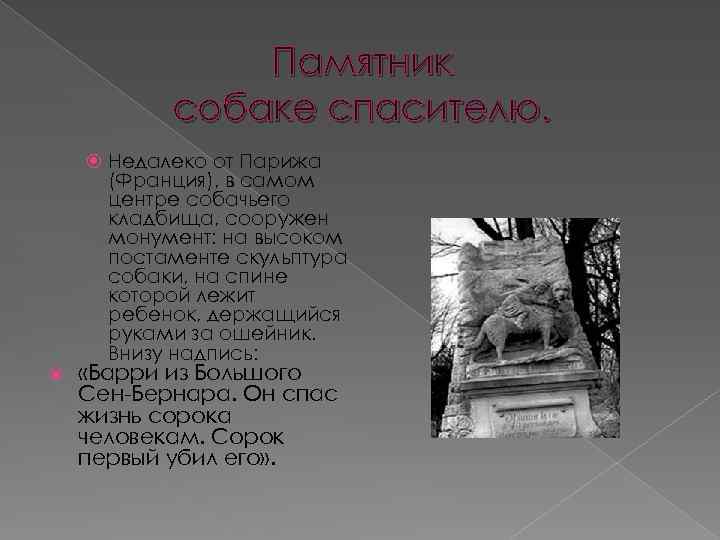 Памятник собаке спасителю. Недалеко от Парижа (Франция), в самом центре собачьего кладбища, сооружен монумент: