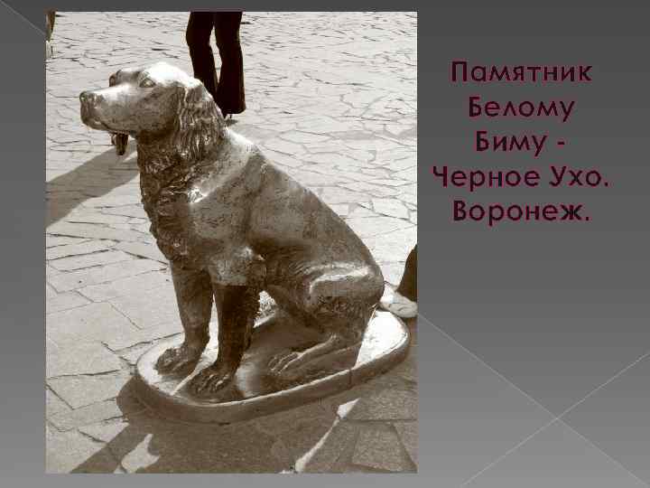 Памятник Белому Биму Черное Ухо. Воронеж. 