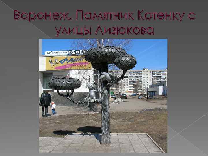 Воронеж. Памятник Котенку с улицы Лизюкова 