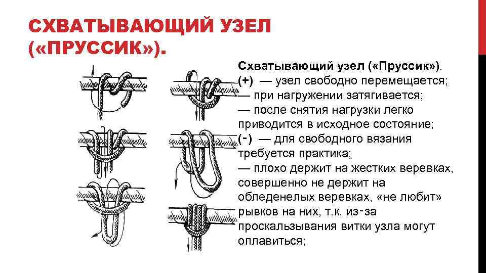 СХВАТЫВАЮЩИЙ УЗЕЛ ( «ПРУССИК» ). Схватывающий узел ( «Пруссик» ). (+) — узел свободно