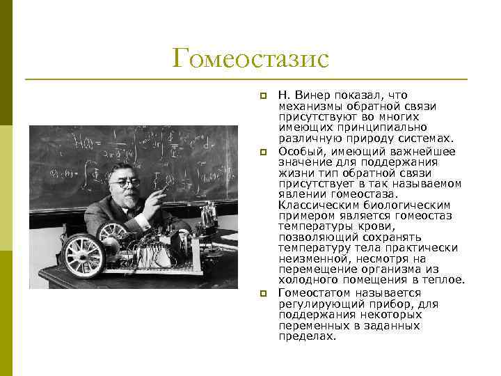 Гомеостазис p p p Н. Винер показал, что механизмы обратной связи присутствуют во многих