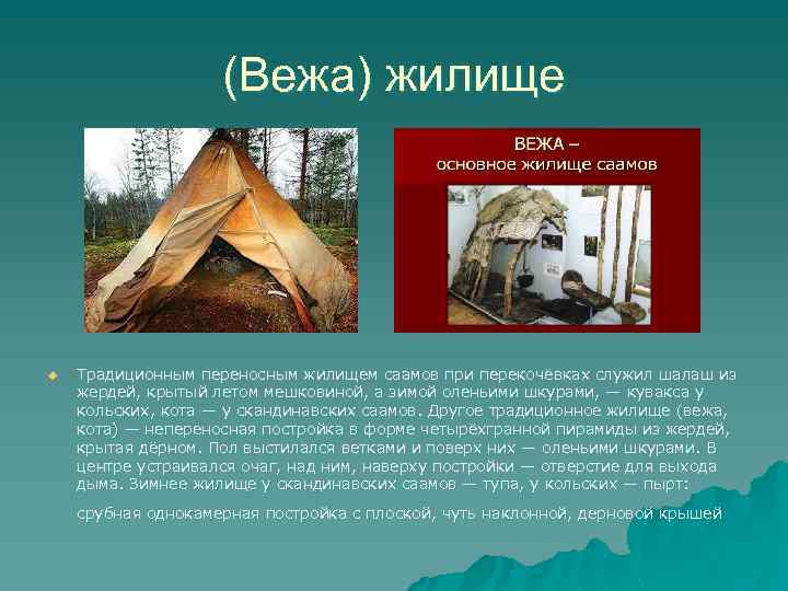 (Вежа) жилище u Традиционным переносным жилищем саамов при перекочёвках служил шалаш из жердей, крытый