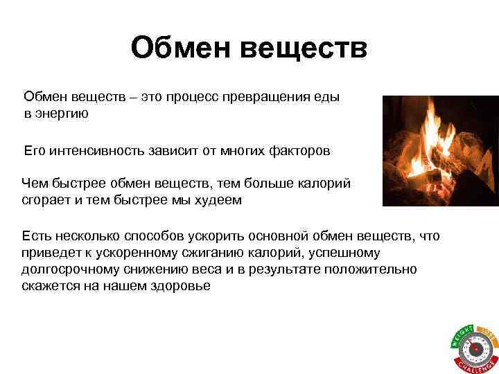 Обмен веществ – это процесс превращения еды в энергию Его интенсивность зависит от многих