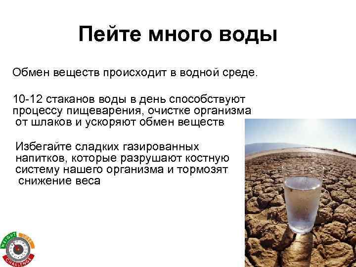 Пейте много воды Обмен веществ происходит в водной среде. 10 -12 стаканов воды в