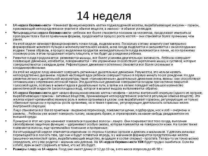 14 неделя • • • 14 неделя беременности - Начинают функционировать клетки поджелудочной железы,