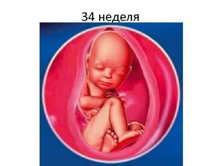 34 неделя 