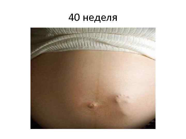 40 неделя 