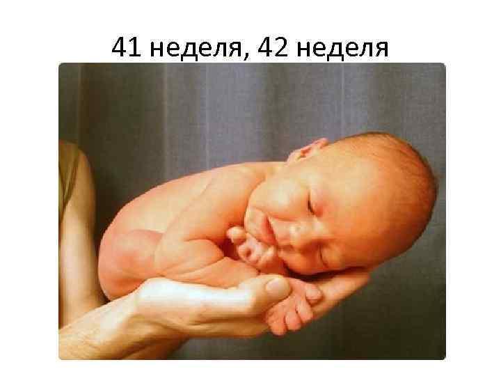 41 неделя, 42 неделя 