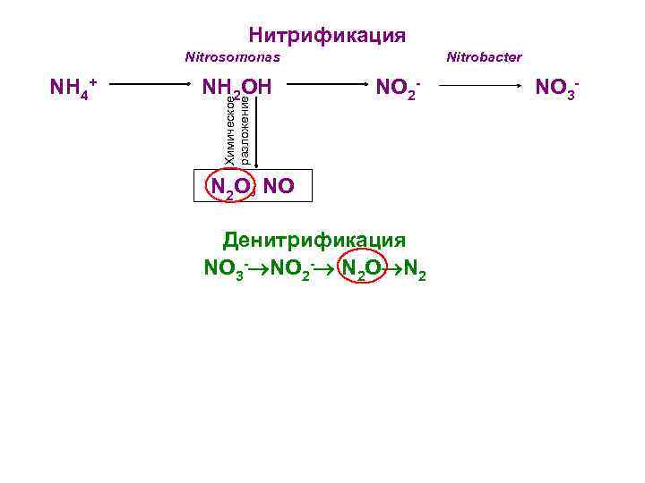 Схема нитрификации денитрификации