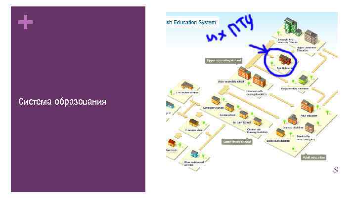 + Система образования 