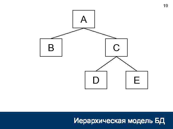 19 A B C D E 19 Иерархическая модель БД 