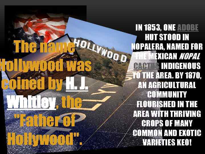 The name Hollywood was coined by H. J. Whitley, the 