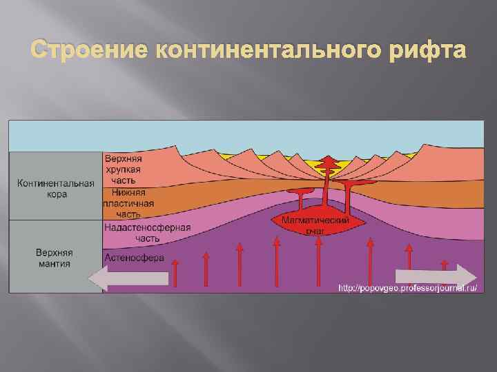 Строение континентального рифта 