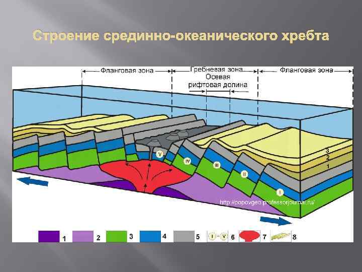 Строение срединно-океанического хребта 