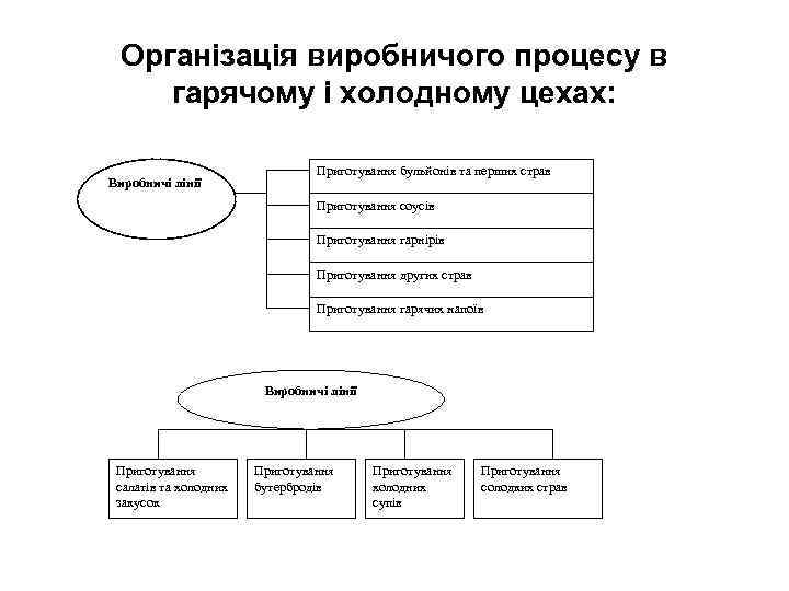 Організація виробничого процесу в гарячому і холодному цехах: Виробничі лінії Приготування бульйонів та перших