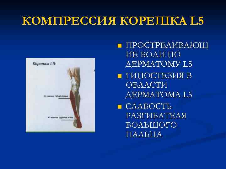 Радикулопатия что. Симптомы компрессии Корешков l4. Радикулопатия s1 Корешков. Синдром компрессии корешка l5. Компрессионно корешковый синдром l5-s1.