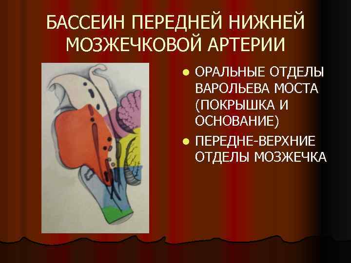 БАССЕИН ПЕРЕДНЕЙ НИЖНЕЙ МОЗЖЕЧКОВОЙ АРТЕРИИ ОРАЛЬНЫЕ ОТДЕЛЫ ВАРОЛЬЕВА МОСТА (ПОКРЫШКА И ОСНОВАНИЕ) l ПЕРЕДНЕ-ВЕРХНИЕ