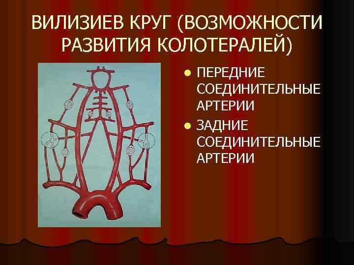 ВИЛИЗИЕВ КРУГ (ВОЗМОЖНОСТИ РАЗВИТИЯ КОЛОТЕРАЛЕЙ) ПЕРЕДНИЕ СОЕДИНИТЕЛЬНЫЕ АРТЕРИИ l ЗАДНИЕ СОЕДИНИТЕЛЬНЫЕ АРТЕРИИ l 