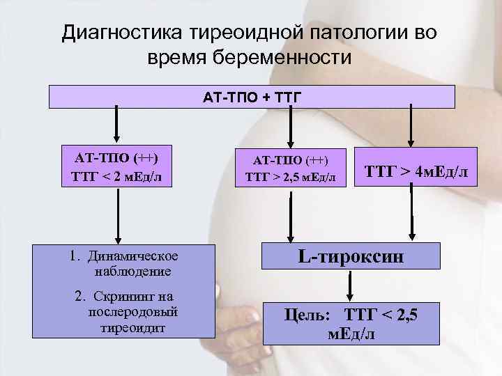 Щитовидная железа высокий ттг. ТТГ. Тиреоидит ТТГ. ТТГ беременной. Классификация ТТГ.