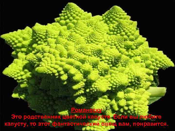 Романеску Это родственник цветной капусте. Если вы любите капусту, то этот фантастический овощ вам,