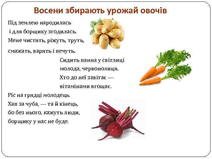 Восени збирають урожай овочів Під землею народилась і для борщику згодилась. Мене чистять, ріжуть,
