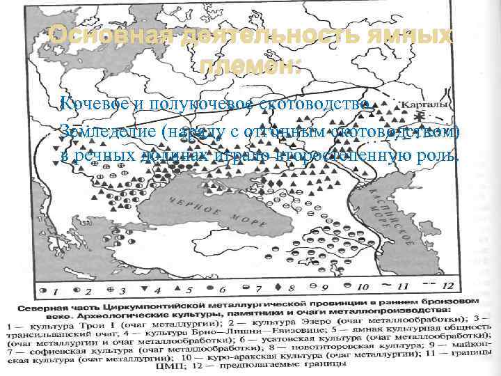 Основная деятельность ямных племен: Кочевое и полукочевое скотоводство. Земледелие (наряду с отгонным скотоводством) в
