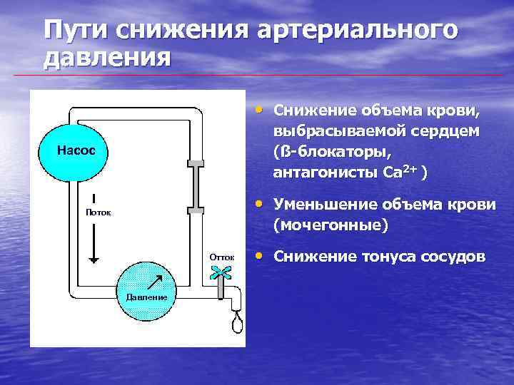 Пути снижения артериального давления • Снижение объема крови, выбрасываемой сердцем (ß-блокаторы, антагонисты Ca 2+