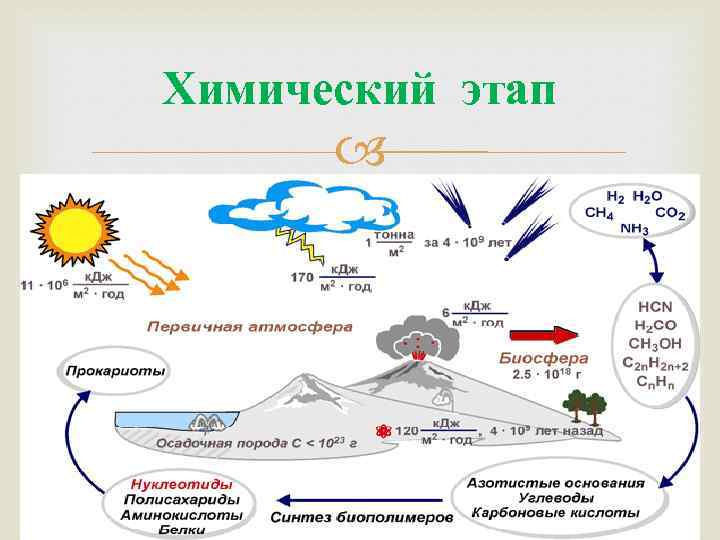 Теория биопоэза фото