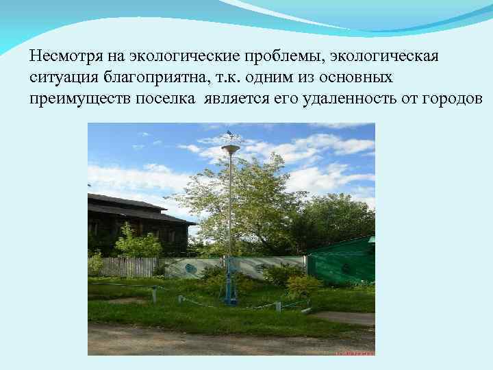 Группа старшеклассников работает над проектом экологическая ситуация в нашем крае проблемы