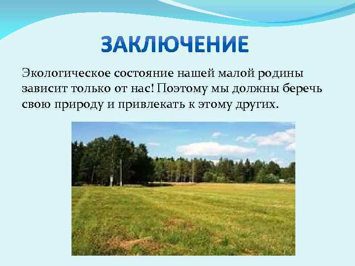 Группа старшеклассников работает над проектом экологическая ситуация в нашем крае проблемы