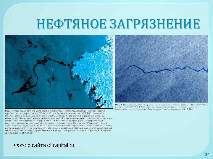 НЕФТЯНОЕ ЗАГРЯЗНЕНИЕ Фото с сайта oilcapital. ru 24 