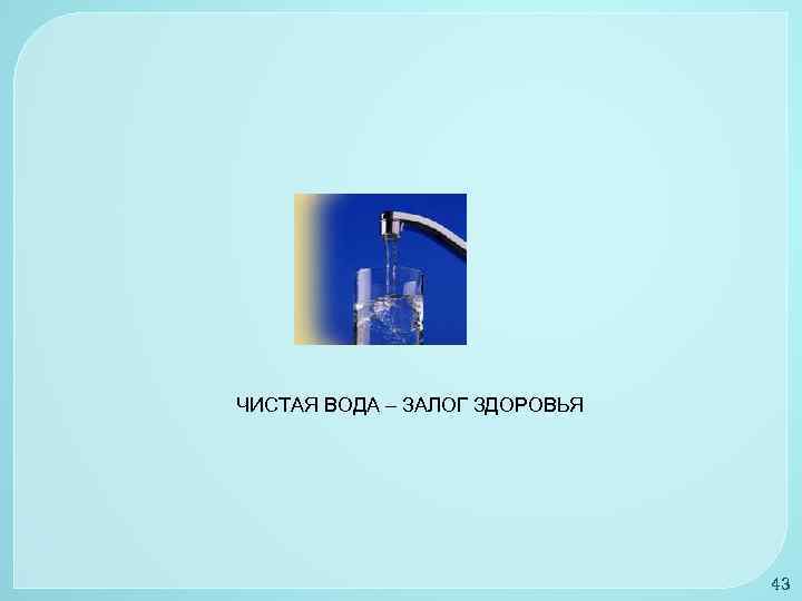ЧИСТАЯ ВОДА – ЗАЛОГ ЗДОРОВЬЯ 43 