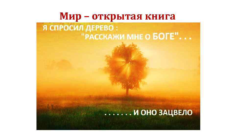 Мир – открытая книга 