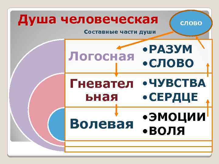 Душа человеческая СЛОВО Составные части души • РАЗУМ Логосная • СЛОВО Гневател • ЧУВСТВА