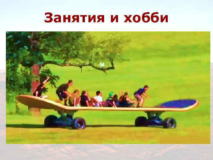 Занятия и хобби 