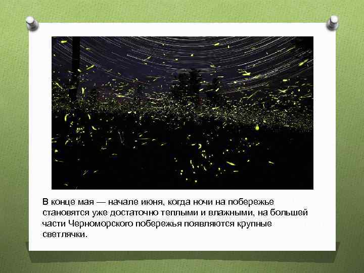 В конце мая — начале июня, когда ночи на побережье становятся уже достаточно теплыми