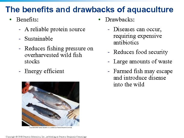The benefits and drawbacks of aquaculture • Benefits: - A reliable protein source -