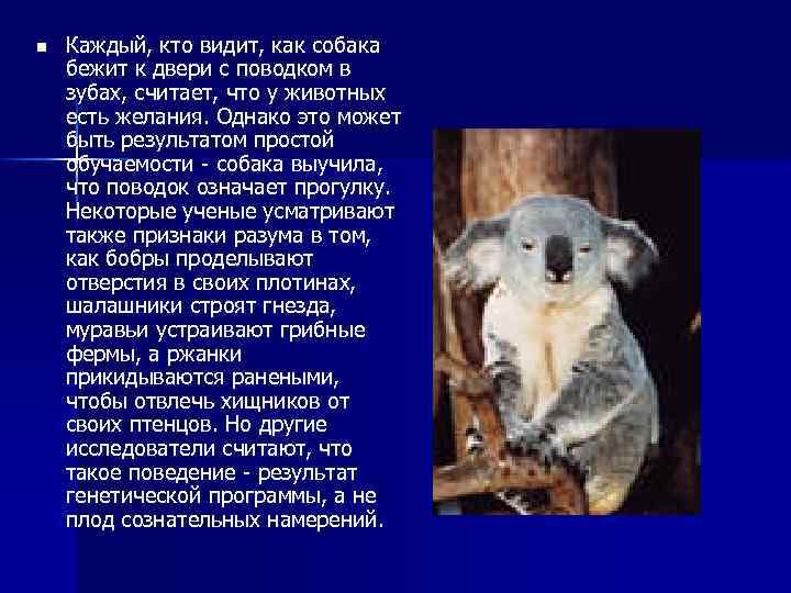 n Каждый, кто видит, как собака бежит к двери с поводком в зубах, считает,