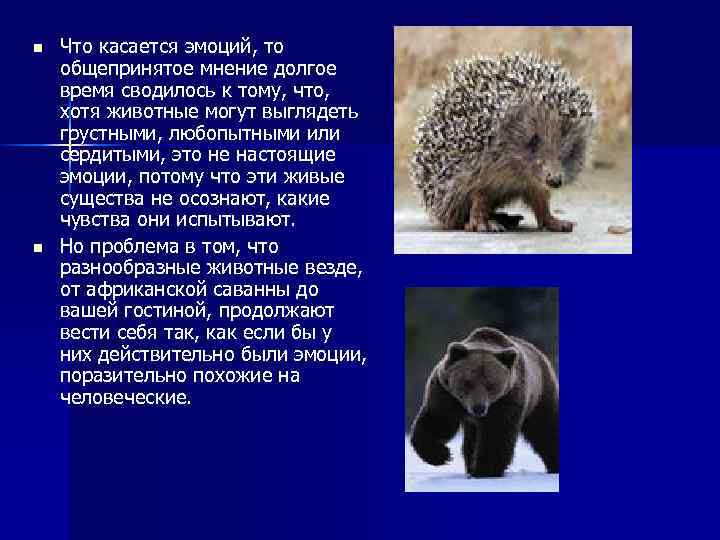 n n Что касается эмоций, то общепринятое мнение долгое время сводилось к тому, что,