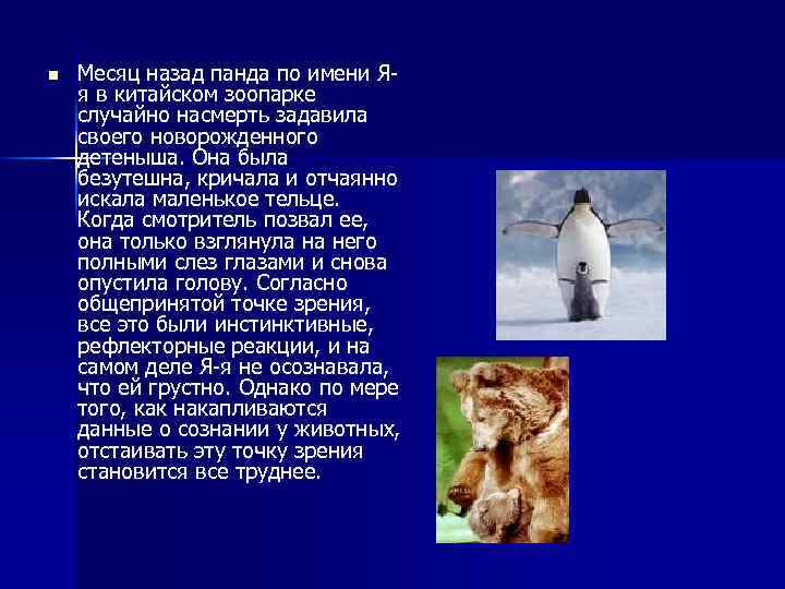 n Месяц назад панда по имени Яя в китайском зоопарке случайно насмерть задавила своего
