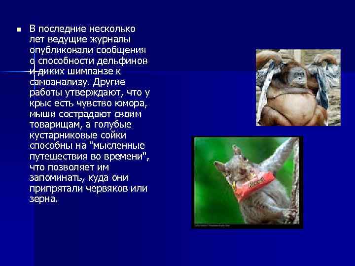 n В последние несколько лет ведущие журналы опубликовали сообщения о способности дельфинов и диких